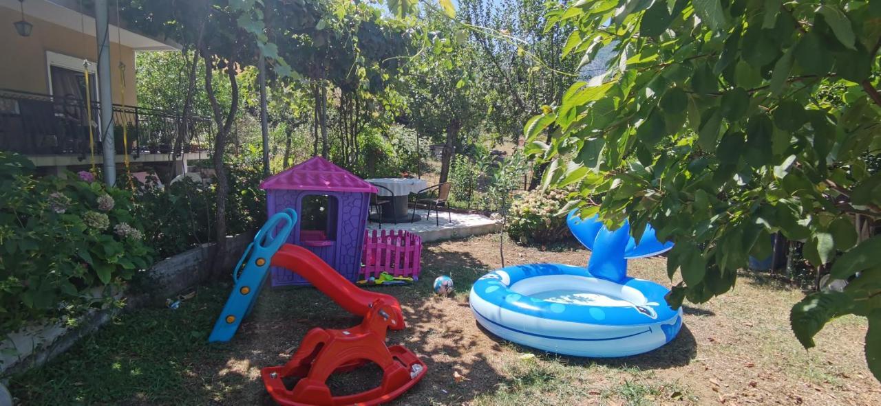Apartments Jovana コトル エクステリア 写真